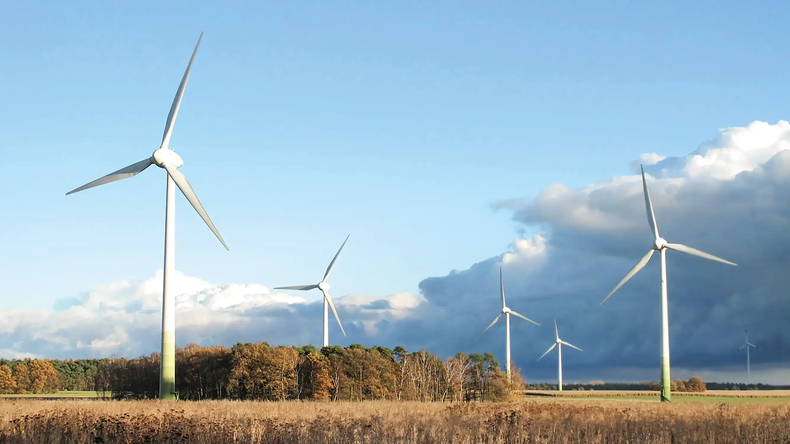 several wind turbines