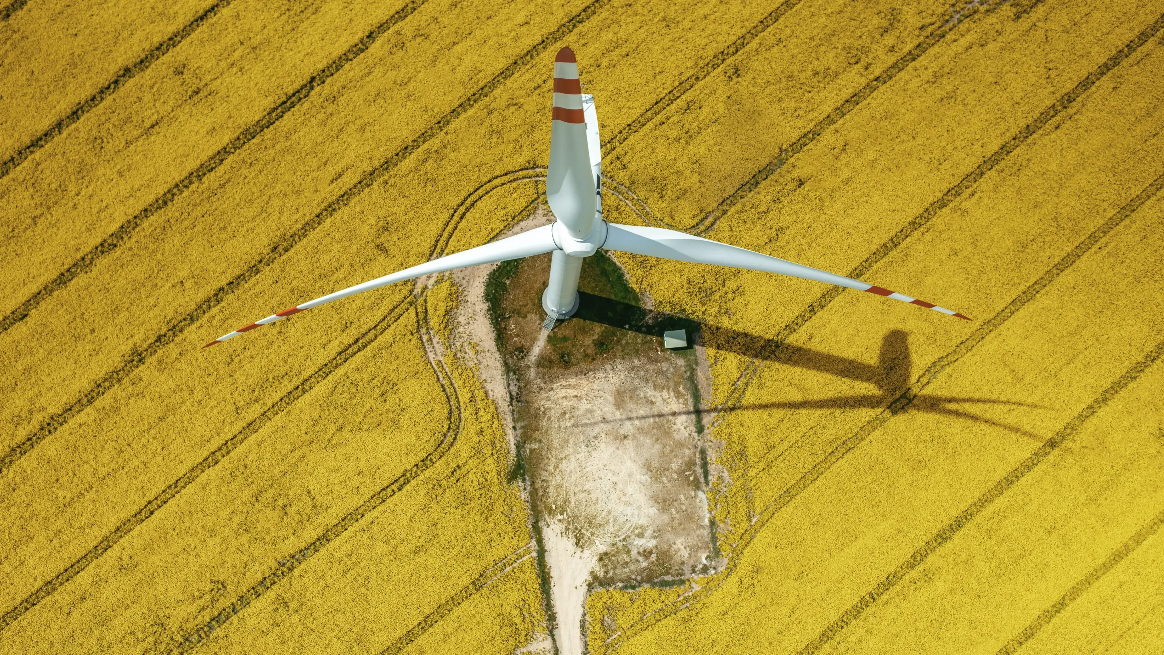 Renewable Energy Wind Energy 