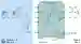 Wiring Diagram: Amplificador Separador para transmisor SMART KFD2-STC4-Ex1