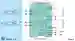 Wiring Diagram: Schaltverstärker HiC2832