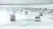 AMR fleet navigating with help of USi-industry