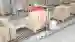 Volume3D volume detection system from Pepperl+Fuchs in conveyor belt application